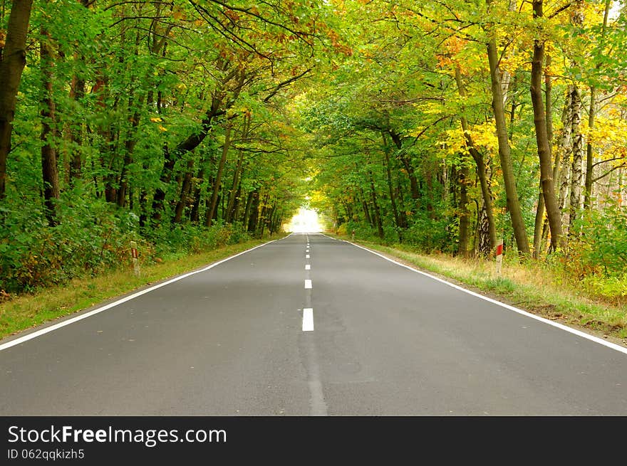 The photograph shows przbiegającą asphalt road through the forest. Side of the road are covered with green trees and bushes. Crown of trees in the upper part of the combine to create a picturesque tunnel. The photograph shows przbiegającą asphalt road through the forest. Side of the road are covered with green trees and bushes. Crown of trees in the upper part of the combine to create a picturesque tunnel.