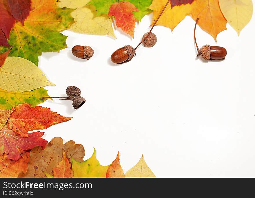 Autumn leaves building a bow-shaped border