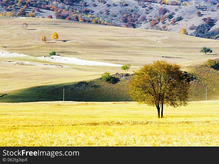 Dam Autumn In Inner Mongolia