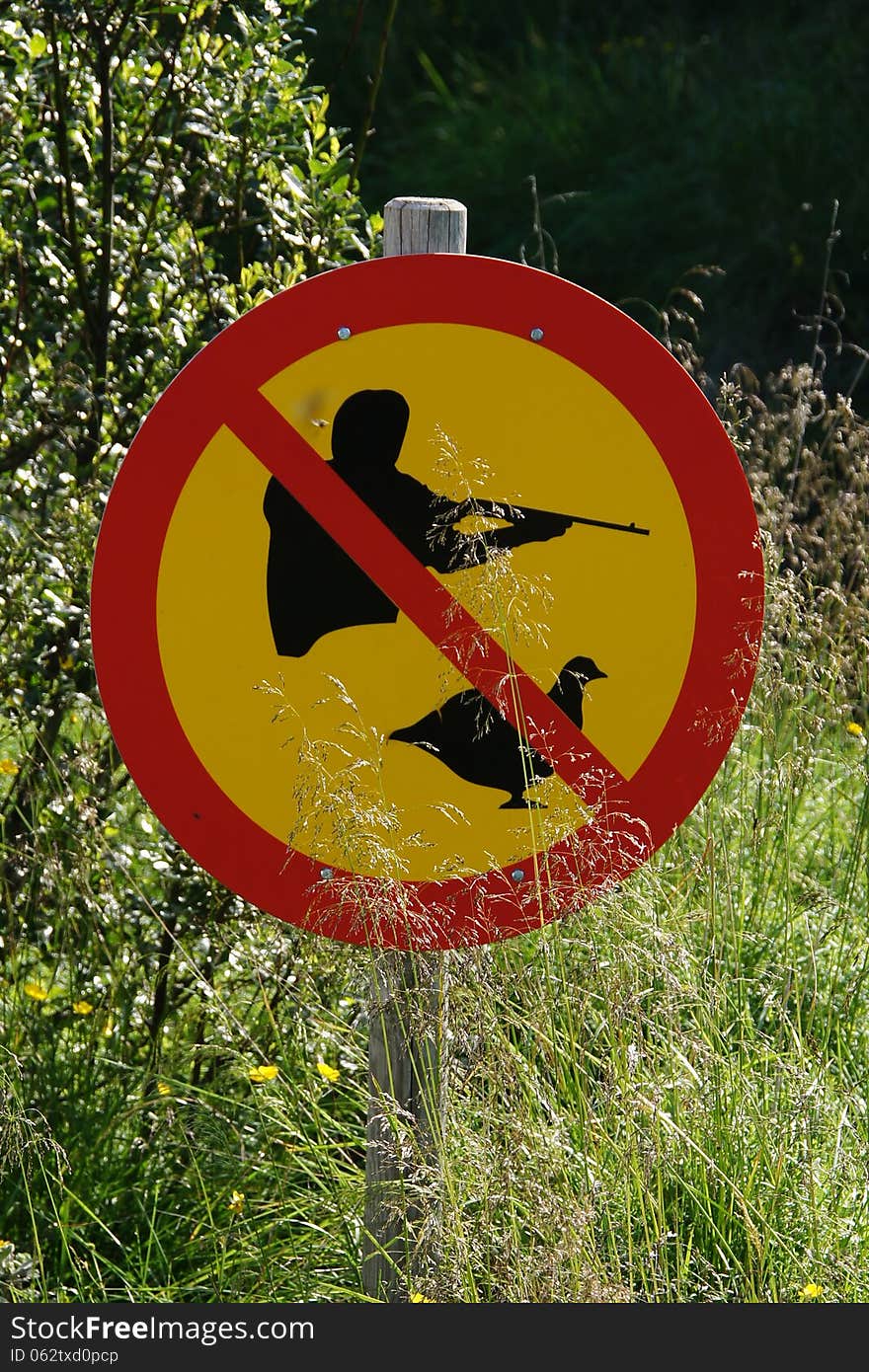 Forbidden To Hunt In Iceland