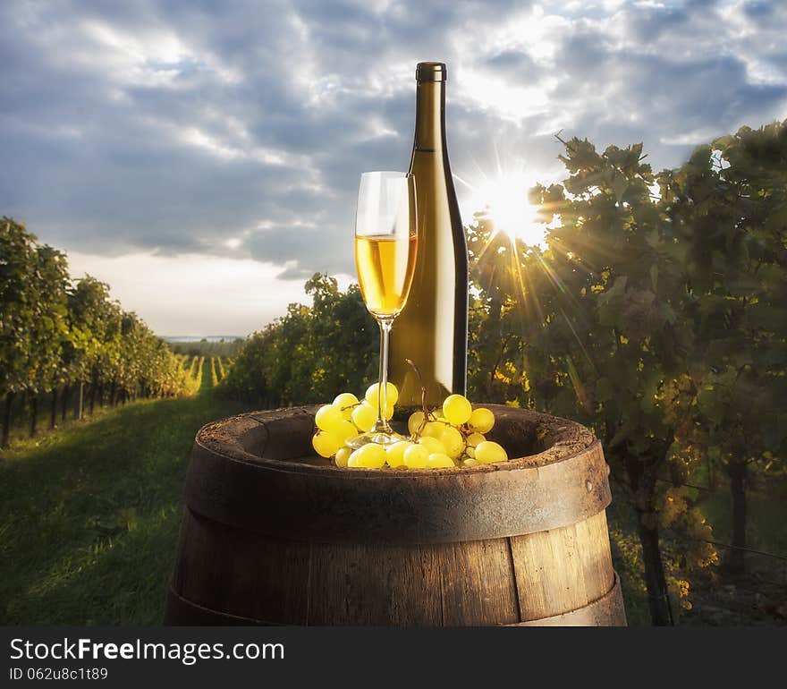 White wine on vineyard background