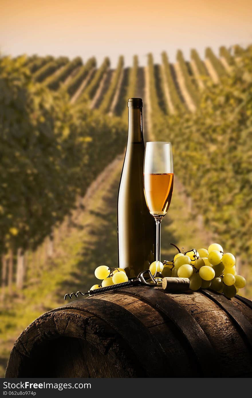 Still life with white wine on vineyard background