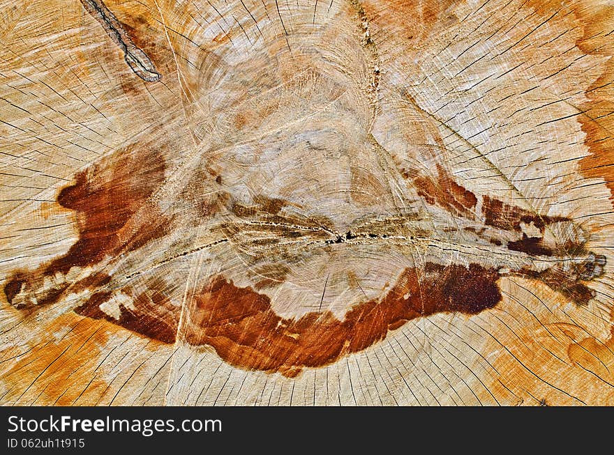 Abstract background of a wet sliced timber