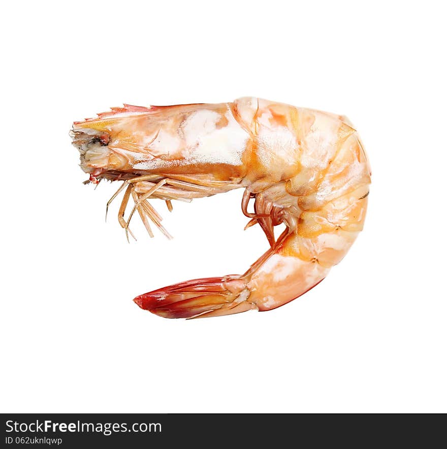 Shrimps On A White Background