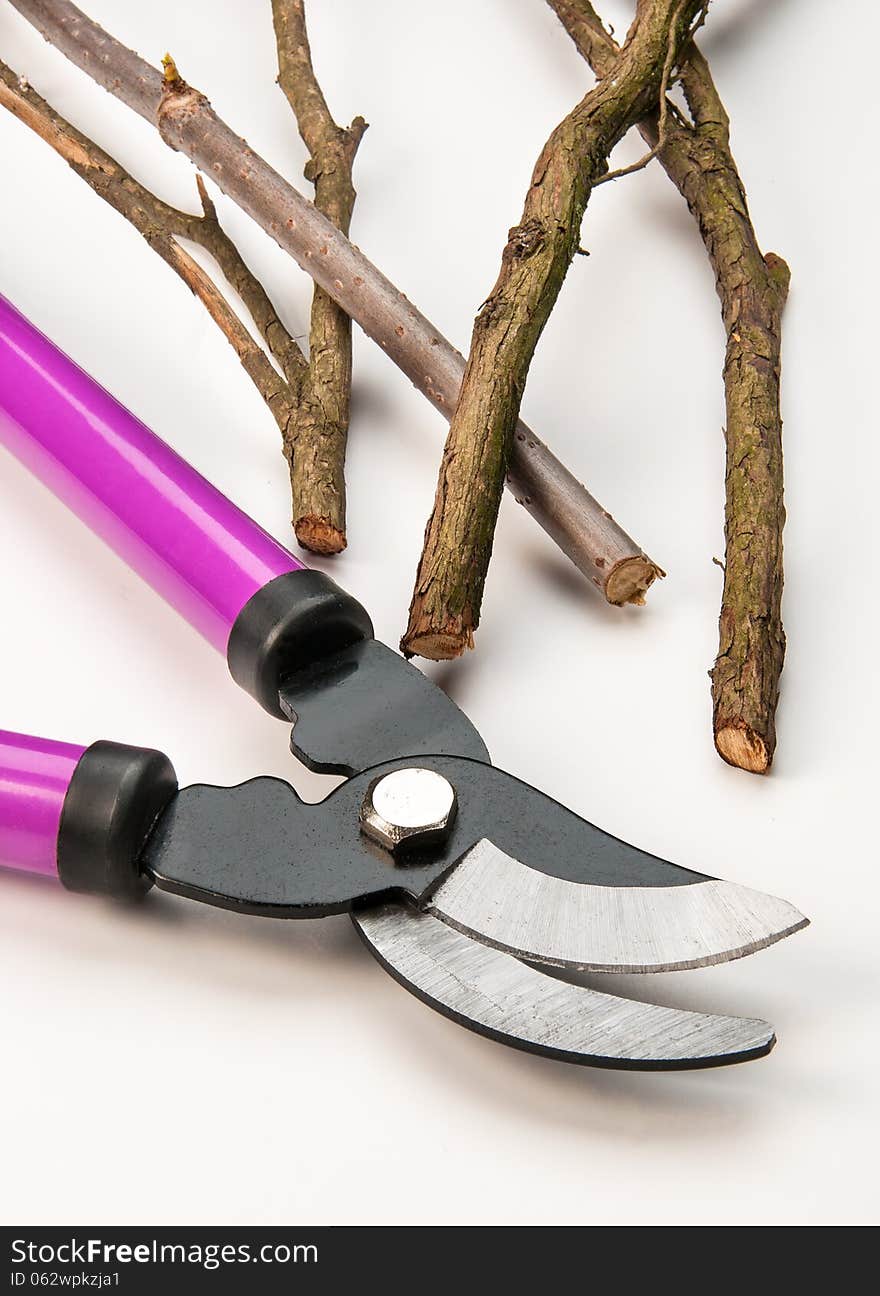 Tree Pruning Tools