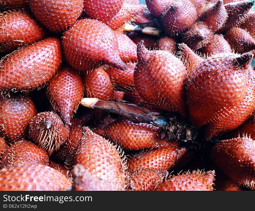 Close up of zalacca tropical fruit background