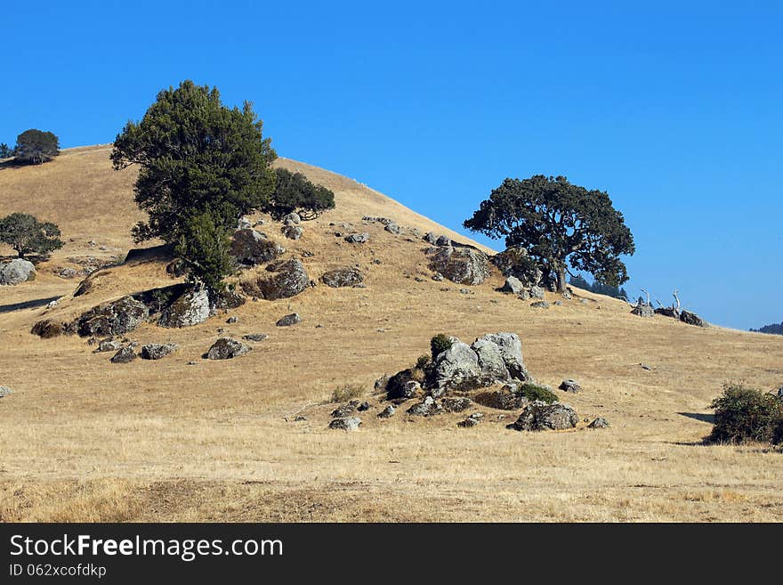 A beautiful summer landscape in Nicasio, California. It is located in Marin County, an area where a lot of people and also celebrities go hiking or bike riding. A beautiful summer landscape in Nicasio, California. It is located in Marin County, an area where a lot of people and also celebrities go hiking or bike riding.