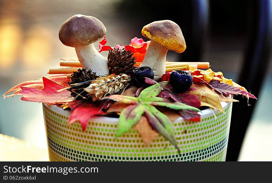 Two Mushrooms In A Pot