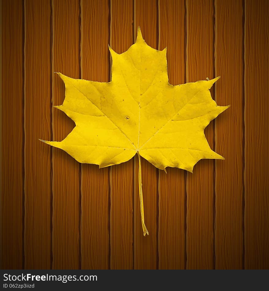 Vector background. Leaf. Autumn.