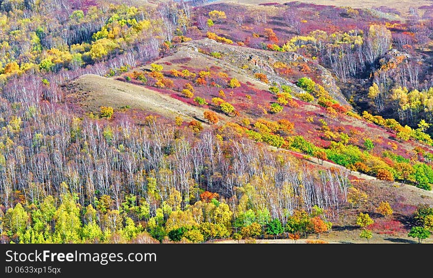 Dam Autumn In Inner Mongolia