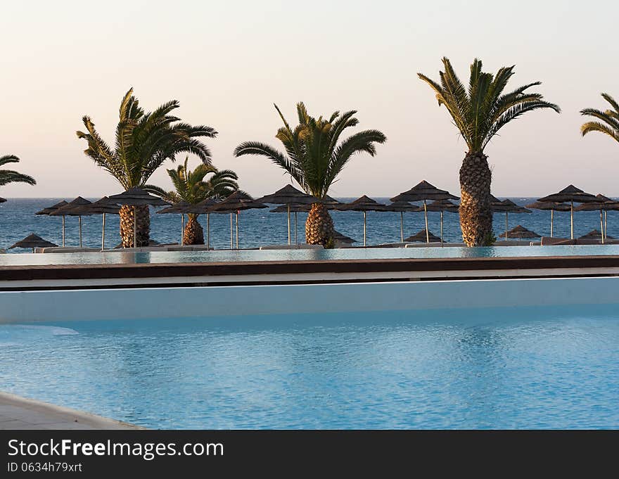 Palms Near Water Of Sea Or Ocean Photo