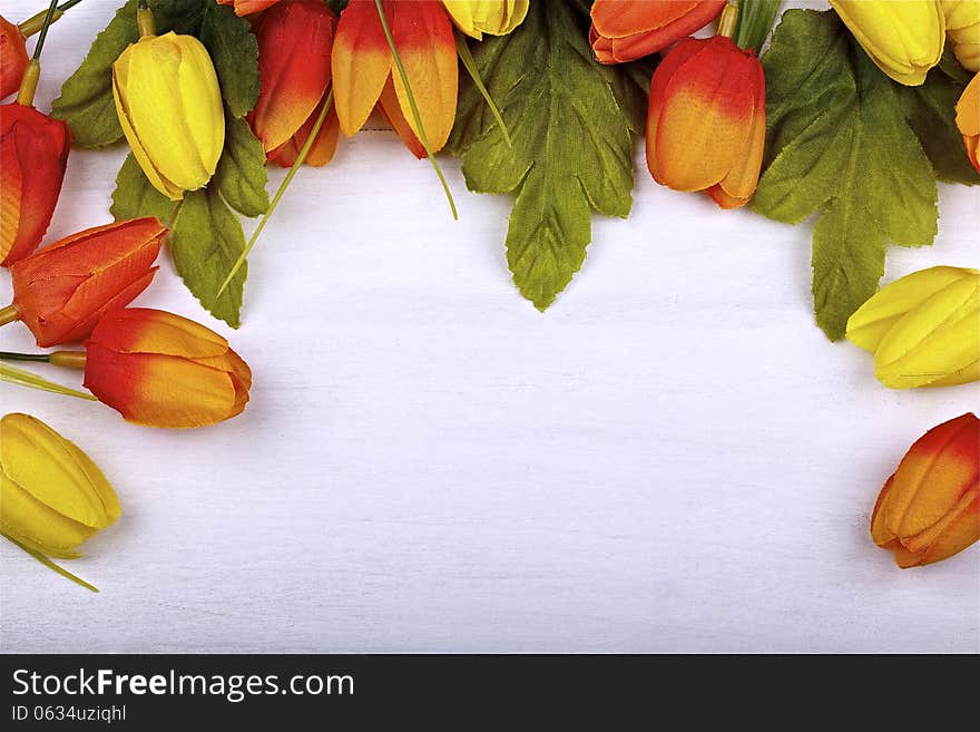 Tulips on painted wood,white background. Tulips on painted wood,white background