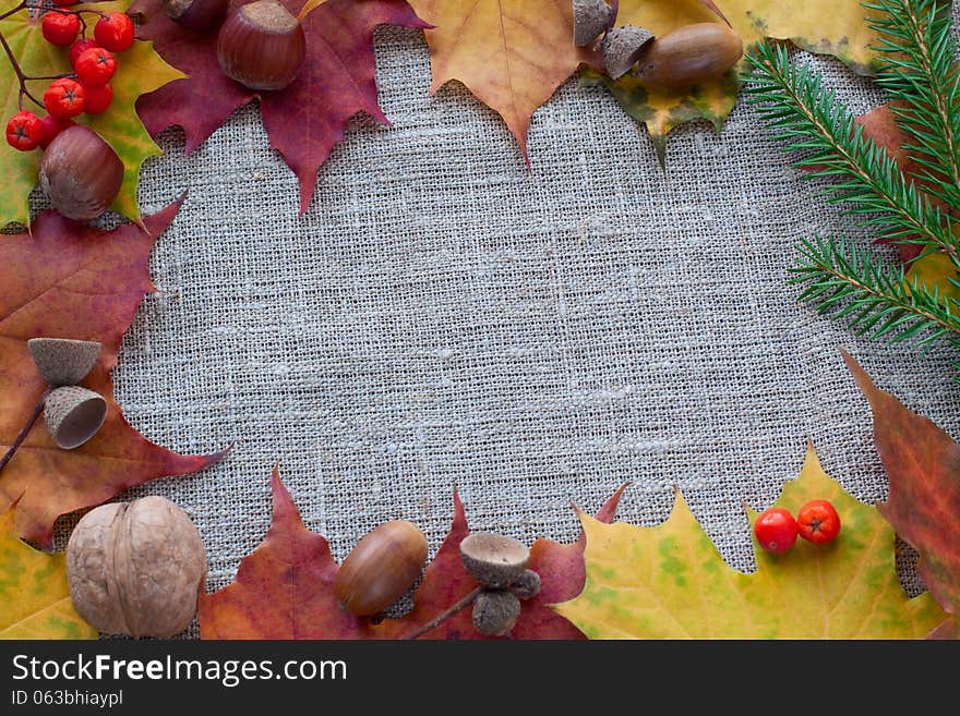 Frame With Leaves