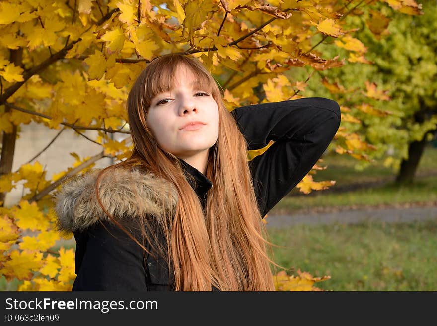 Beautiful young girl with red hair, against the backdrop of golden autumn. Beautiful young girl with red hair, against the backdrop of golden autumn