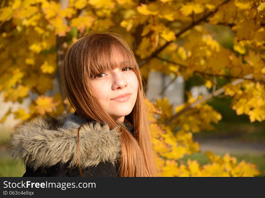 Beautiful young girl with red hair, against the backdrop of golden autumn