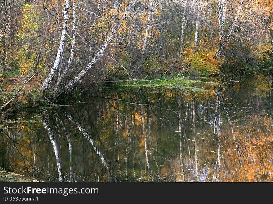 Autumn River