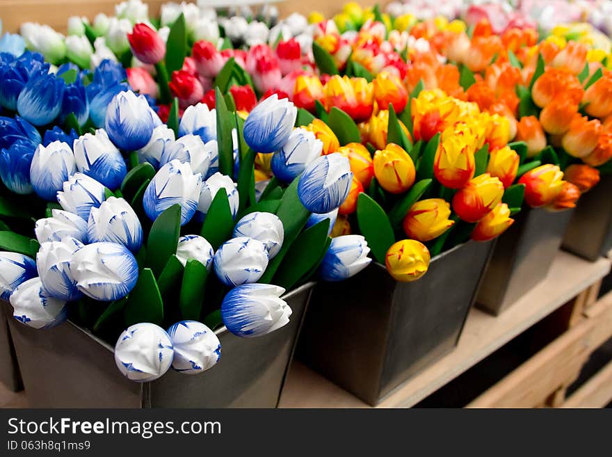 Composition of colorful tulip pots cob. Composition of colorful tulip pots cob