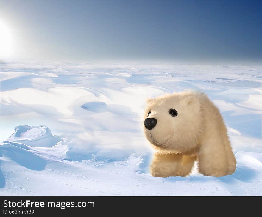 Toy polar bear cub in Arctic