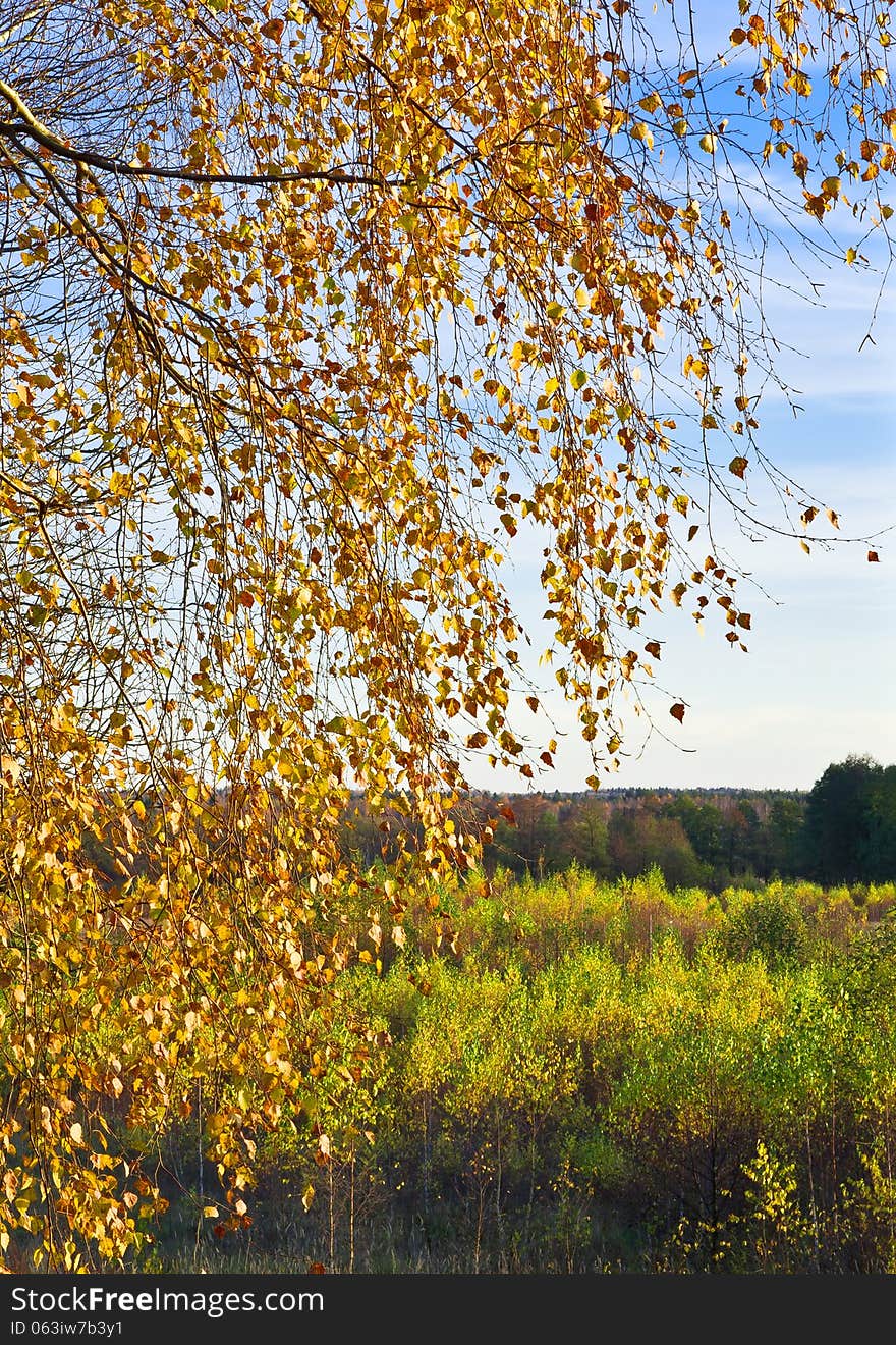 Autumn scene. Kaluga region of Russia