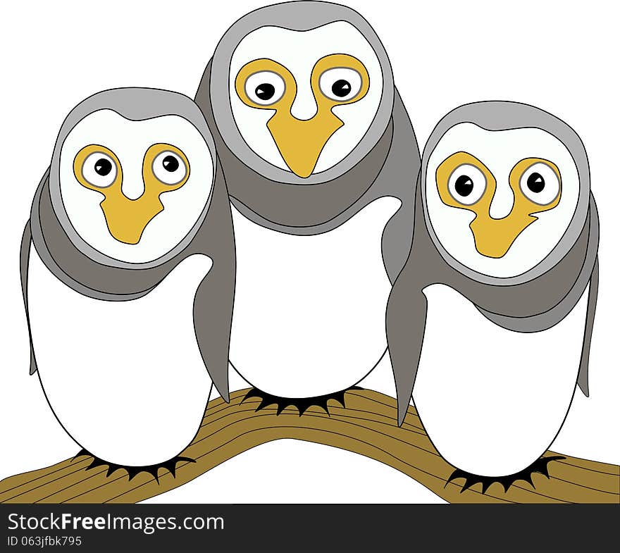 Funny owl family