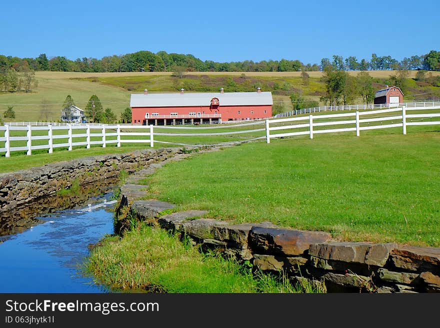 Horse Ranch Landscape