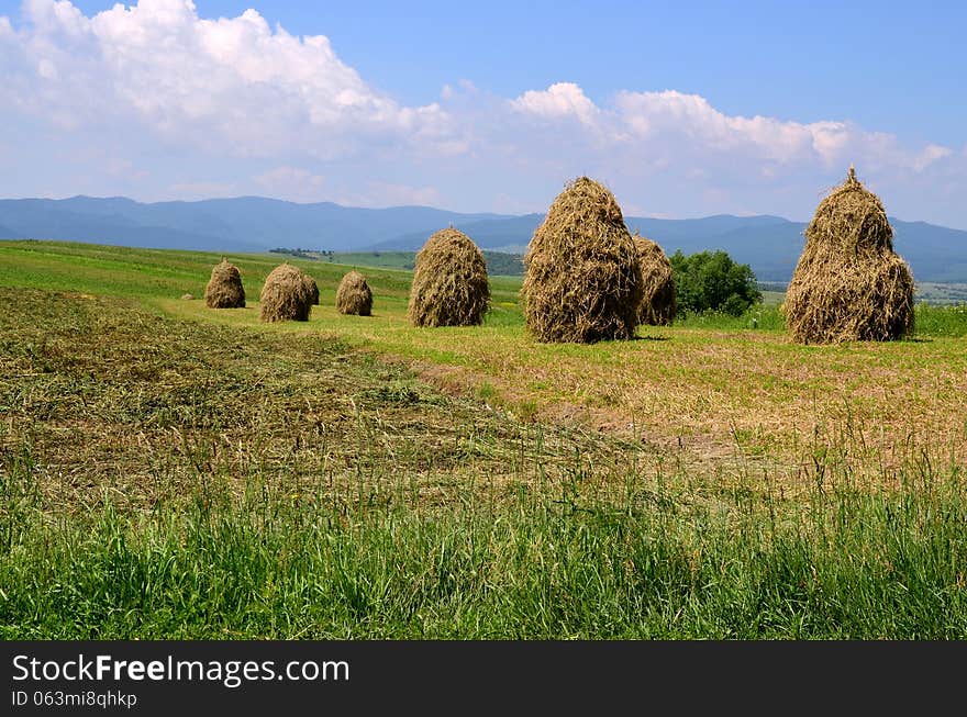 Located in the heart of Moldavia, this photo shows the way countrymen work their hayfield, in the gorgeous natural landscape, in a land beyond time and modern technology. Located in the heart of Moldavia, this photo shows the way countrymen work their hayfield, in the gorgeous natural landscape, in a land beyond time and modern technology.