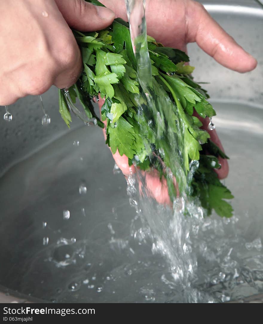 Wash of fresh green parsley leaves