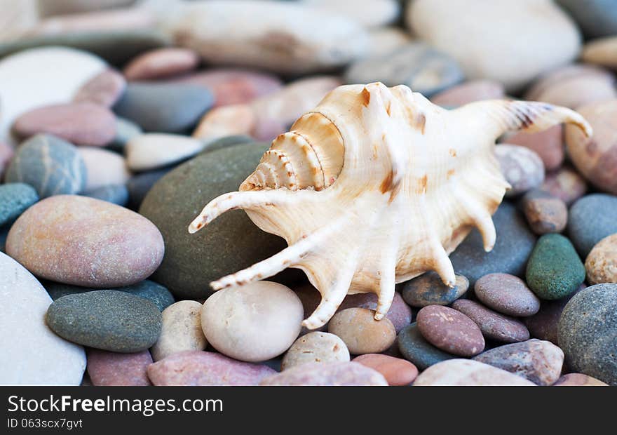 Colorful stones  on the beach - nature background. Colorful stones  on the beach - nature background