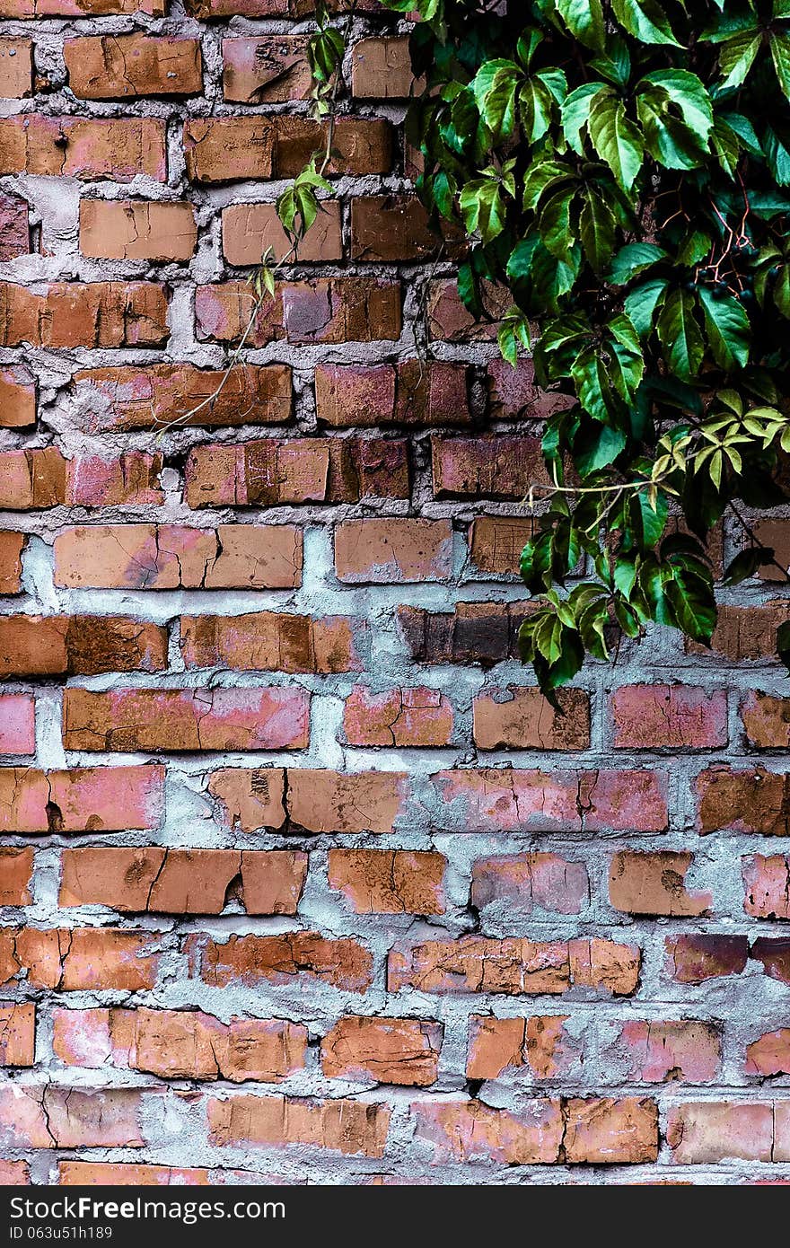 Background and texture of the brick wall of cracked rough brick. Background and texture of the brick wall of cracked rough brick.