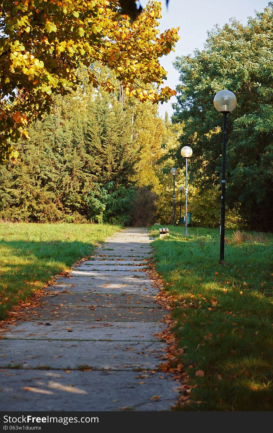 Vertical shot of pathway in the park. Vertical shot of pathway in the park