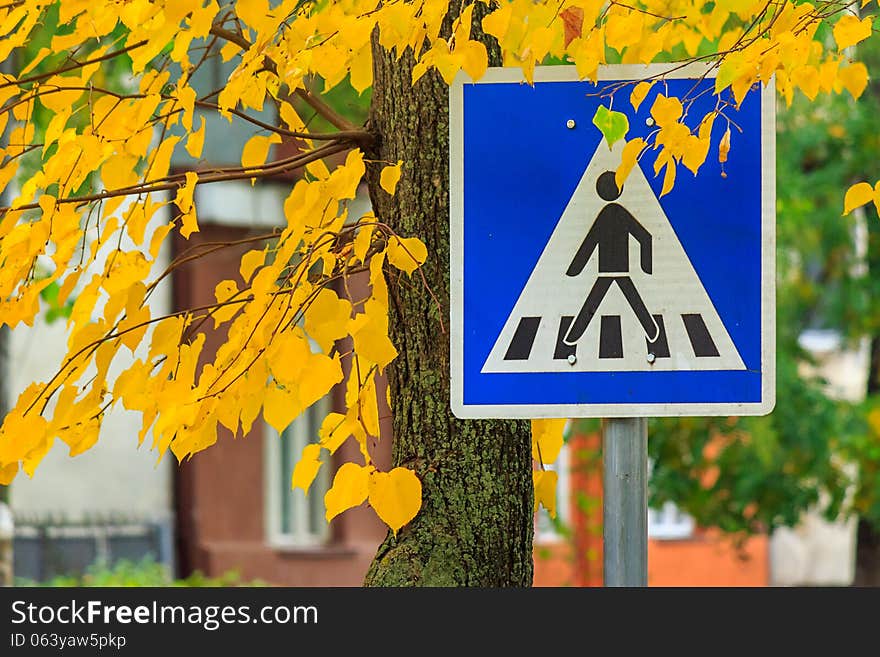 Road sign crosswalk in the yellow leaves