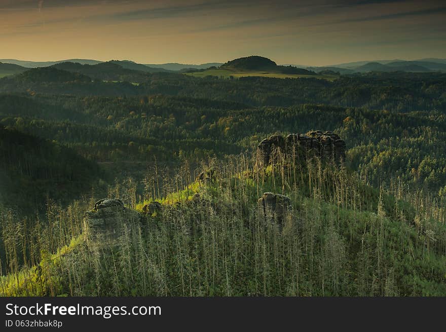 Sandstone rocks in forest