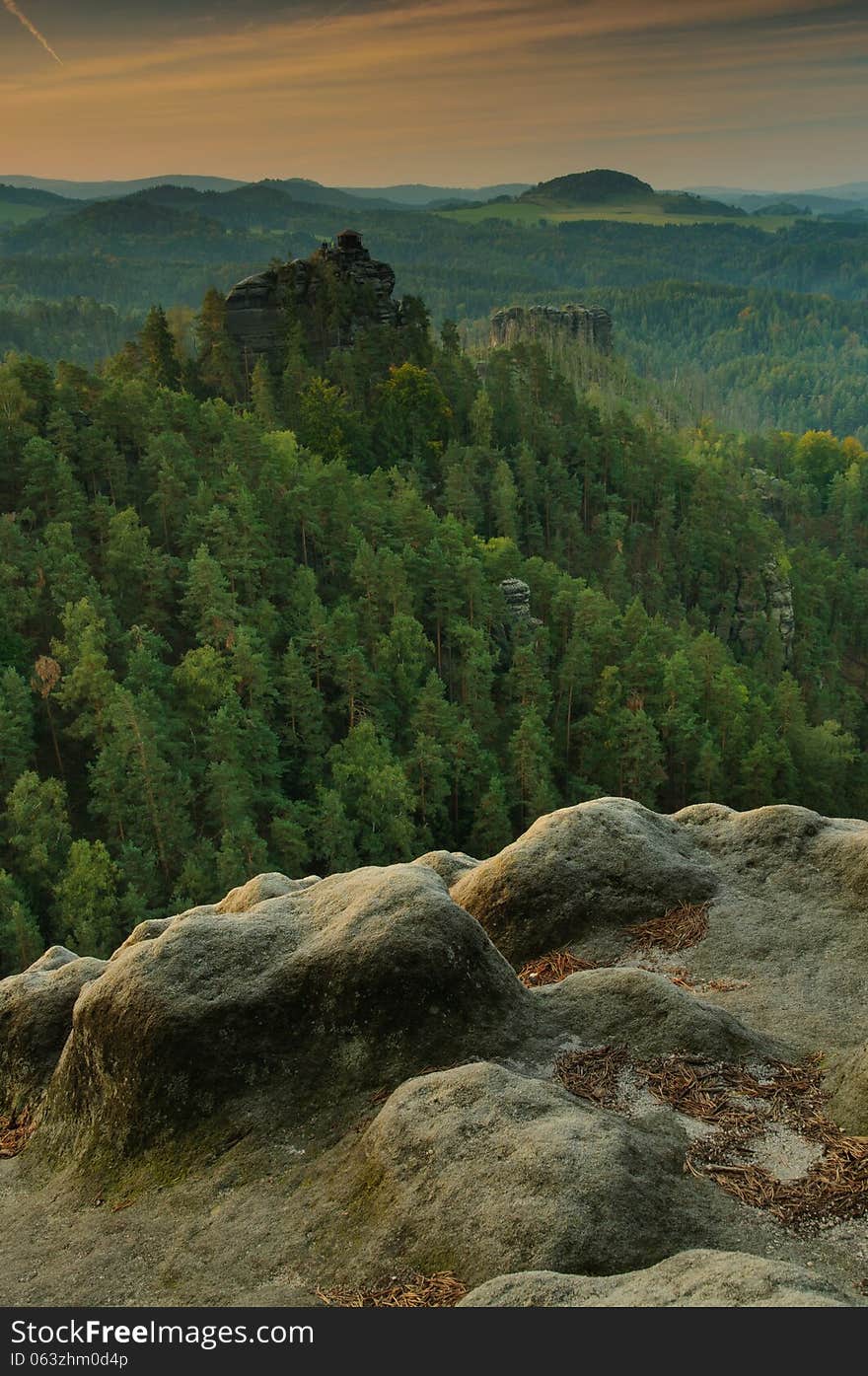 Sandstone rocks in forest