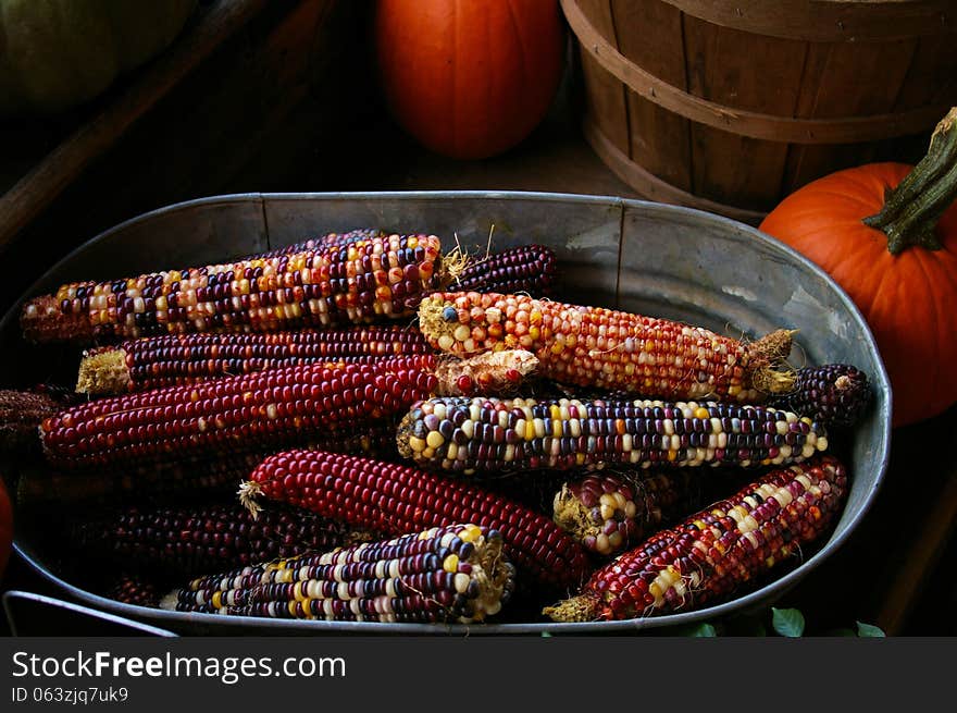 Pail of Indian corn next to some pumpkins at harvest. Pail of Indian corn next to some pumpkins at harvest