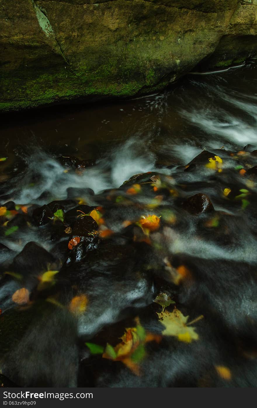 Wild stream with colorful leaves in autumn. Photo was taken in national park Bohemian Switzerland. Wild stream with colorful leaves in autumn. Photo was taken in national park Bohemian Switzerland.