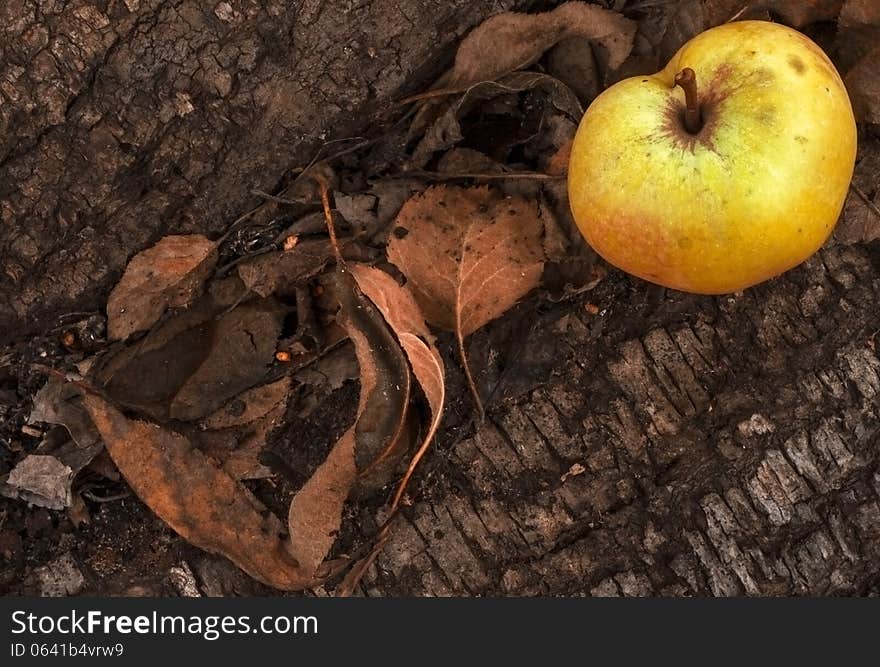 Close up of an apple on autumn background