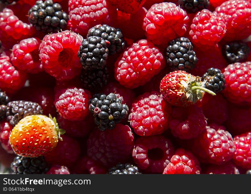 Different forest fruits close up: wild berries strawberries and raspberries