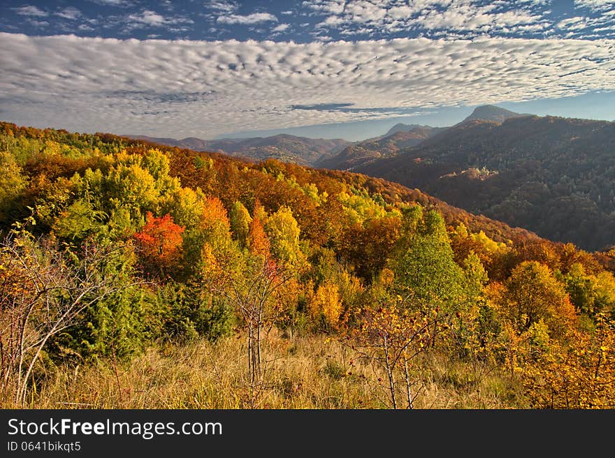 Colorful Fall Landscape With Clouds