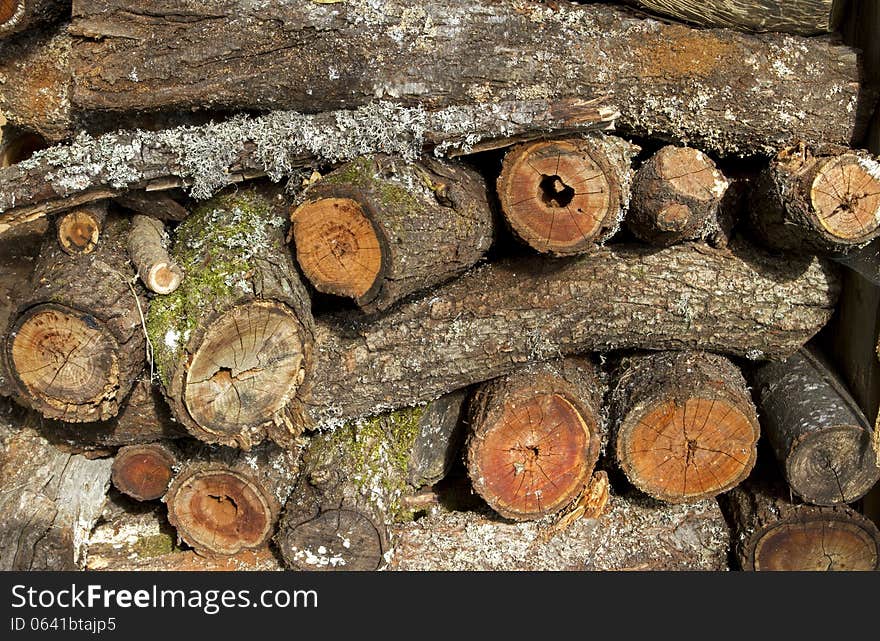 Different types of firing wood stock