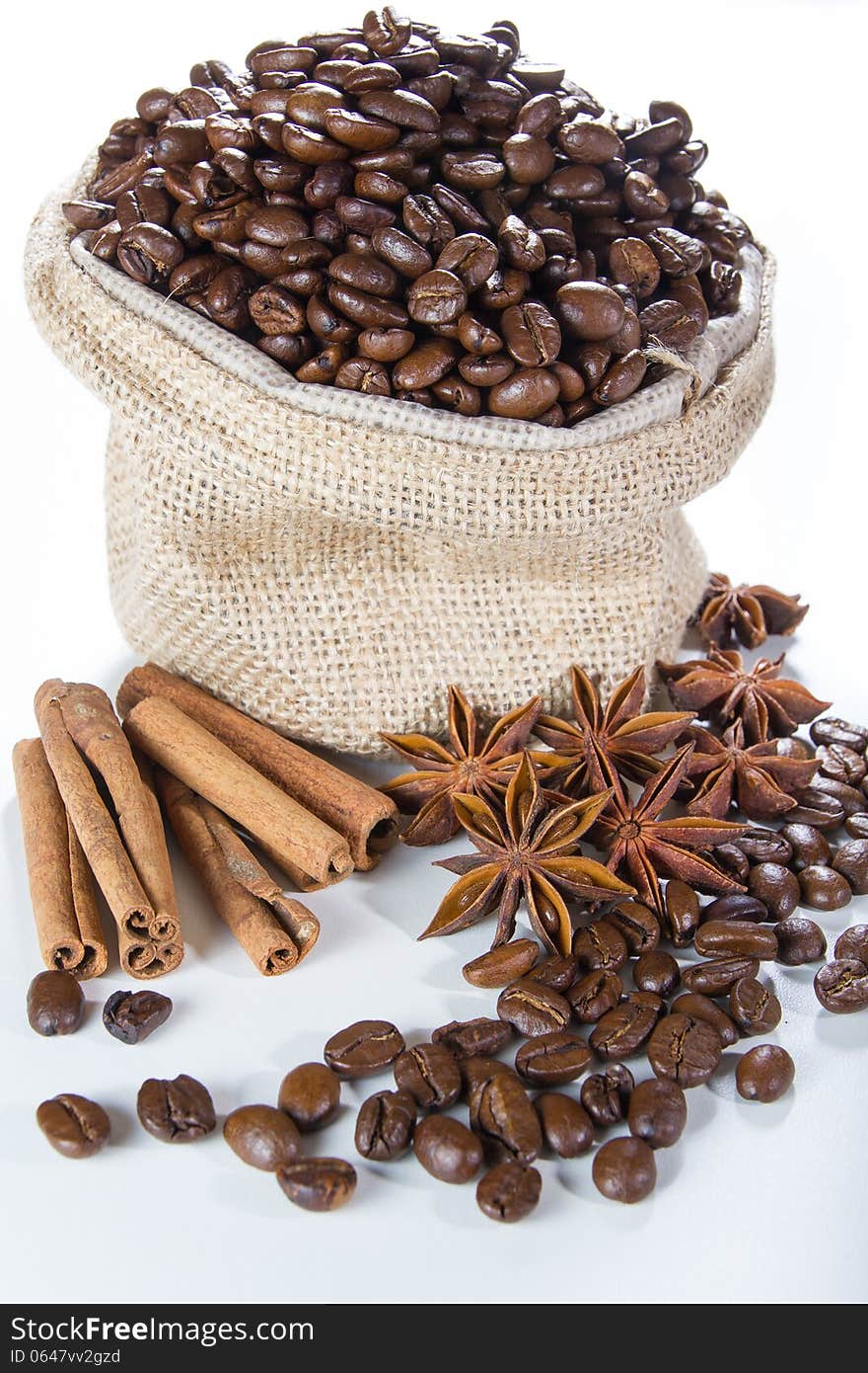 Coffee Ingredient on white background