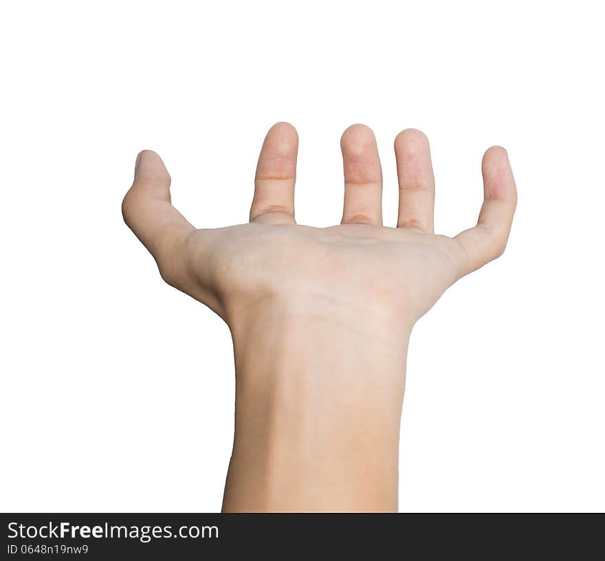 Woman hand holding something empty isolated on white background