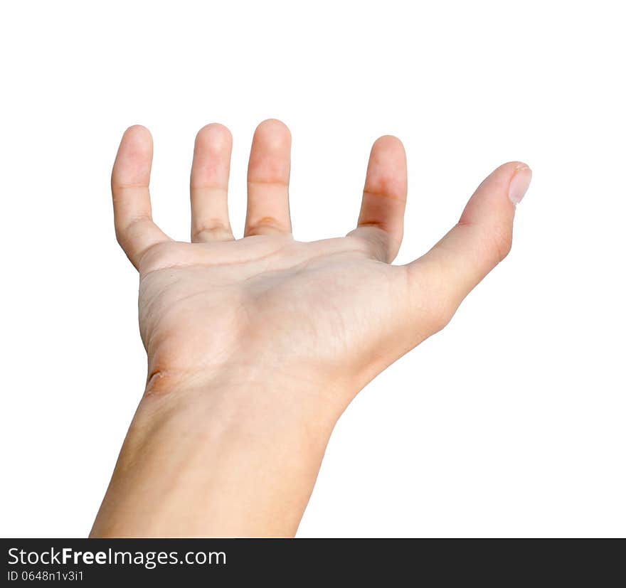 Woman hand holding something empty isolated on white background