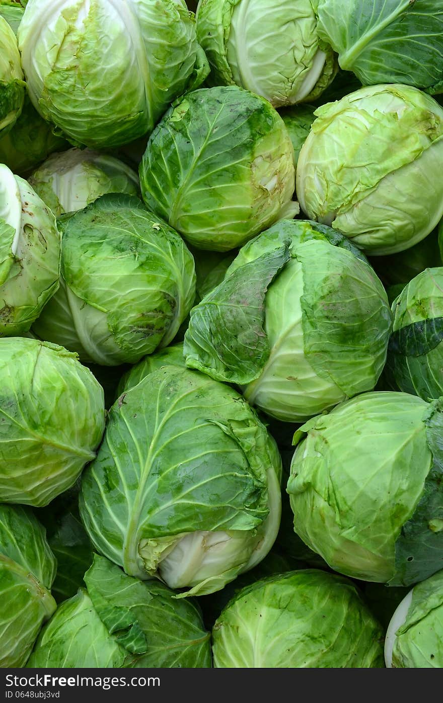 Background - full frame of cabbage, ready for sale