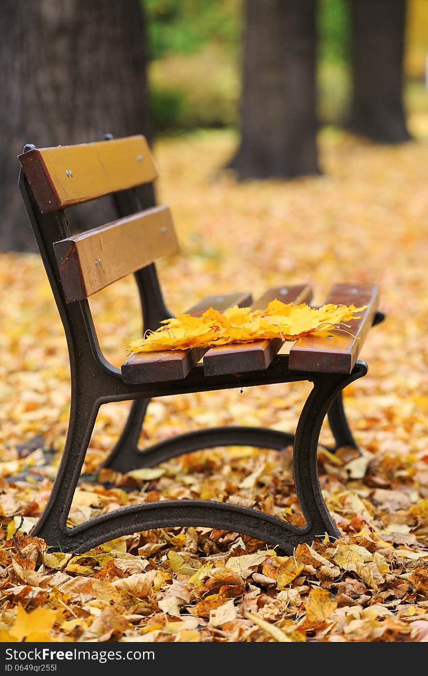 Bench In Autumn Park