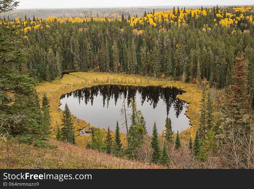 A pond in a valley surrounded by a forest