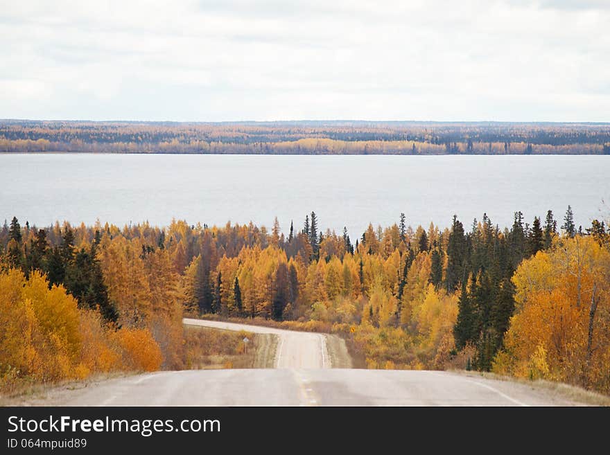 A curving highway between thick green and yellow trees leading down to a lake with a forest in the background. A curving highway between thick green and yellow trees leading down to a lake with a forest in the background