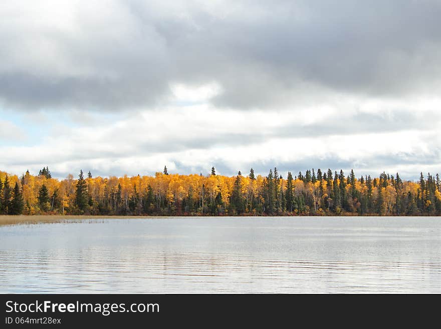 A Lake With A Forest Of Trees On The Bank