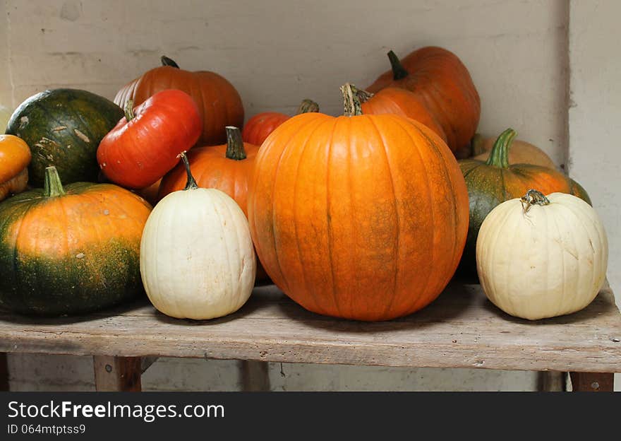 Pumpkins and Squashes.