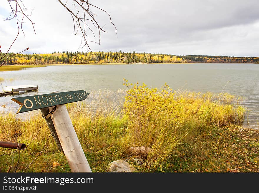 A green arrow sign nailed to a pole pointing to a forest surrounded lake. A green arrow sign nailed to a pole pointing to a forest surrounded lake