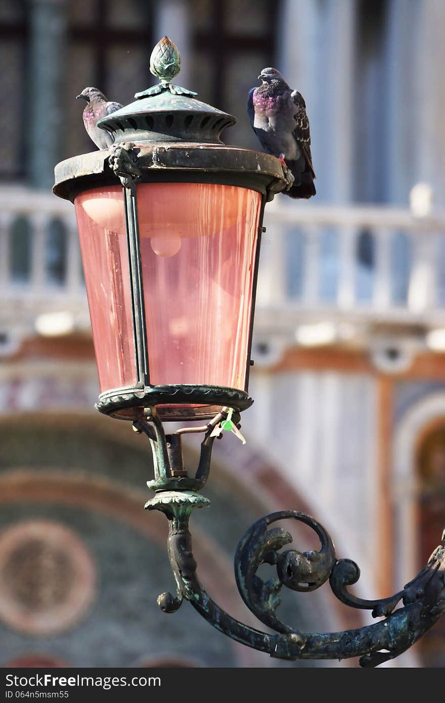 Pigeons on the lamp on the Piazza San Marco, Venice, Italy